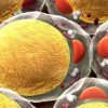 Nanomedicina para combatir la propagación del cáncer